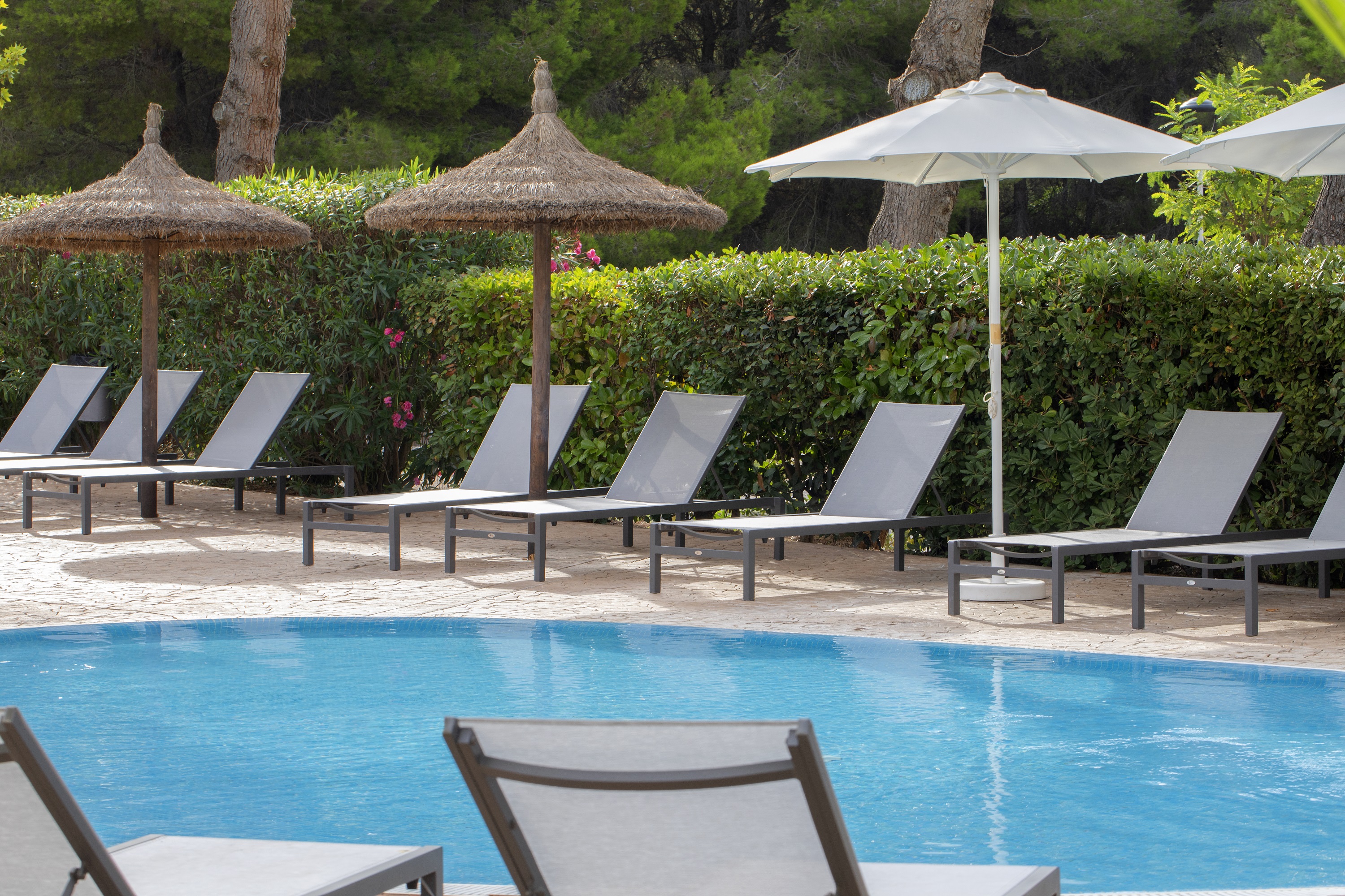 common areas - pool 1